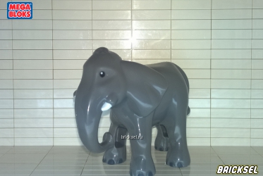 Индийский слон (лопоухий) темно-серый