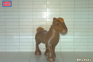 Жеребец, лошадь, конь чистокровный коричневый