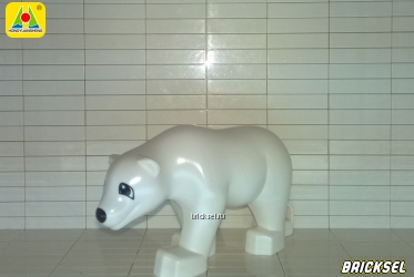 Медведь белый