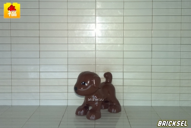 Собака темно-коричневая