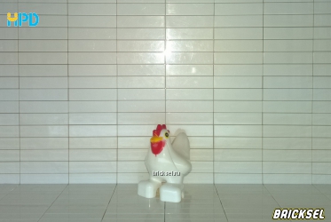 Курица желтоглазая белая