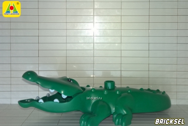 Крокодил c белыми зубам темно-зеленый