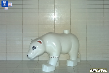 Медведь белый застенчивый