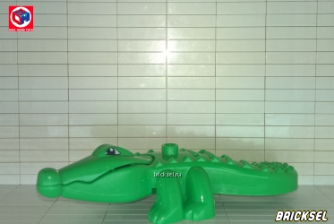 Крокодил зеленый