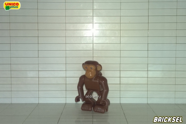 Шимпанзе коричневый