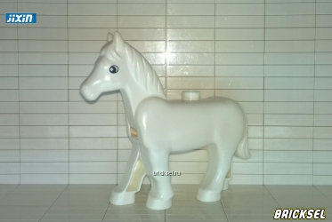 Конь, лошадь белая