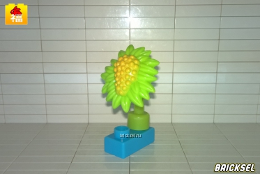 Цветок садовый пышный с желтой пыльцой, букет с желтым цветочком (без кубика)