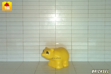 Медвежонок желтый