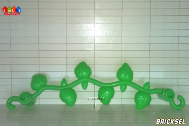 Лиана ползучая светло-зеленая с маленькими почками