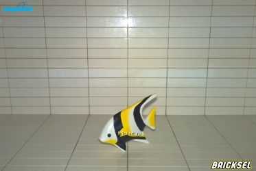 Рыбка Мавританский идол